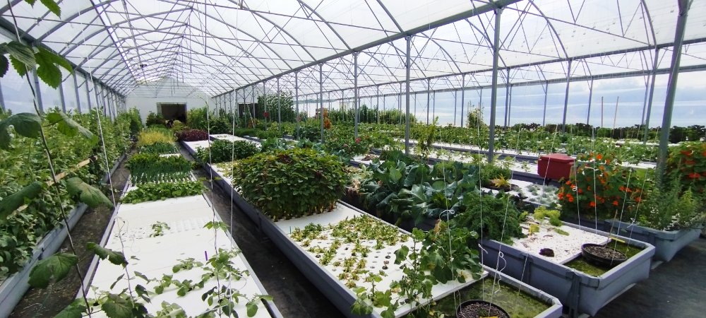 Aire camping-car � Saint-Astier (24110) - Photo 3